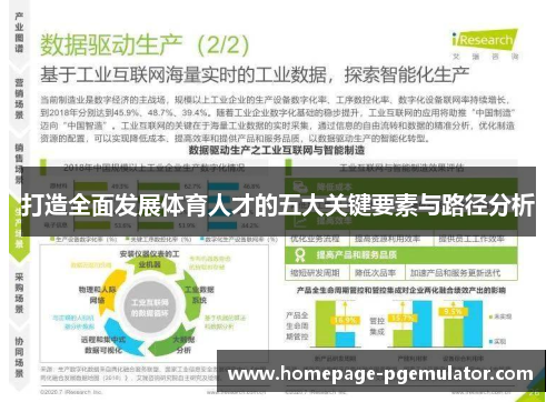 打造全面发展体育人才的五大关键要素与路径分析