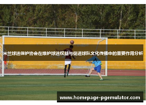 米兰球迷保护协会在维护球迷权益与促进球队文化传播中的重要作用分析