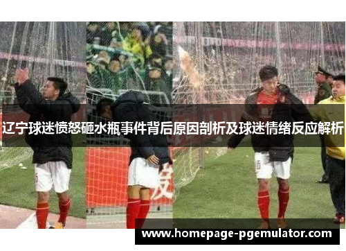 辽宁球迷愤怒砸水瓶事件背后原因剖析及球迷情绪反应解析 辽宁球迷愤怒砸水瓶事件背后原因剖析及球迷情绪反应解析