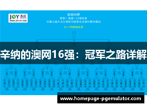 辛纳的澳网16强:冠军之路详解 辛纳的澳网16强:冠军之路详解