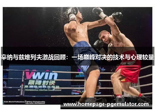 辛纳与兹维列夫激战回顾:一场巅峰对决的技术与心理较量 辛纳与兹维列夫激战回顾:一场巅峰对决的技术与心理较量