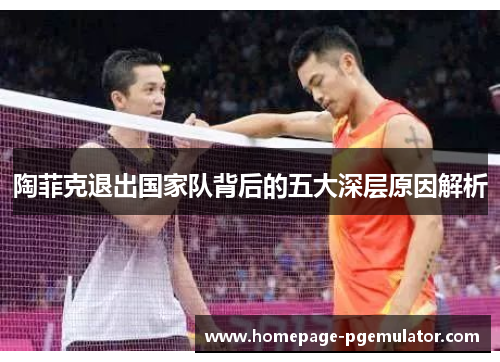 陶菲克退出国家队背后的五大深层原因解析