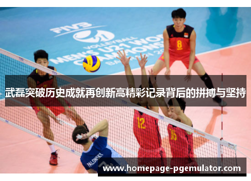 武磊突破历史成就再创新高精彩记录背后的拼搏与坚持