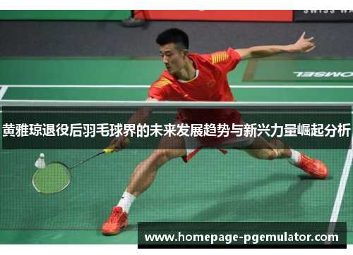 黄雅琼退役后羽毛球界的未来发展趋势与新兴力量崛起分析