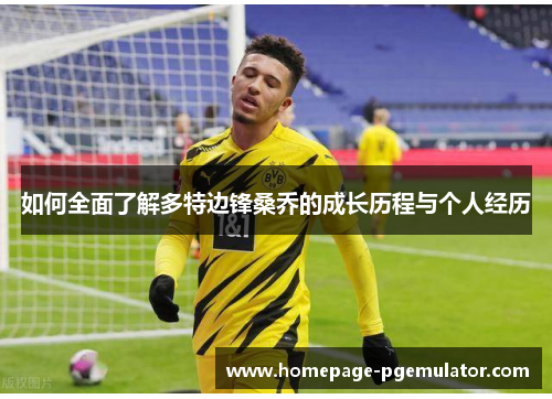 如何全面了解多特边锋桑乔的成长历程与个人经历