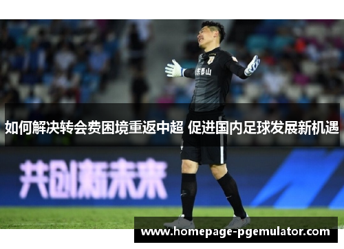 如何解决转会费困境重返中超 促进国内足球发展新机遇