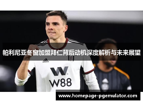 帕利尼亚冬窗加盟拜仁背后动机深度解析与未来展望