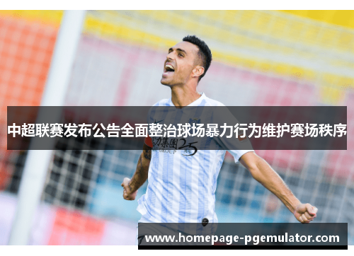 中超联赛发布公告全面整治球场暴力行为维护赛场秩序
