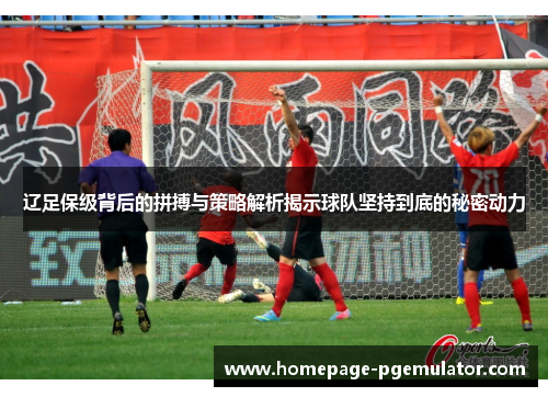 辽足保级背后的拼搏与策略解析揭示球队坚持到底的秘密动力