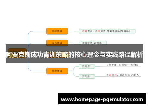 阿贾克斯成功青训策略的核心理念与实践路径解析