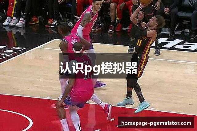 认识pg模拟器